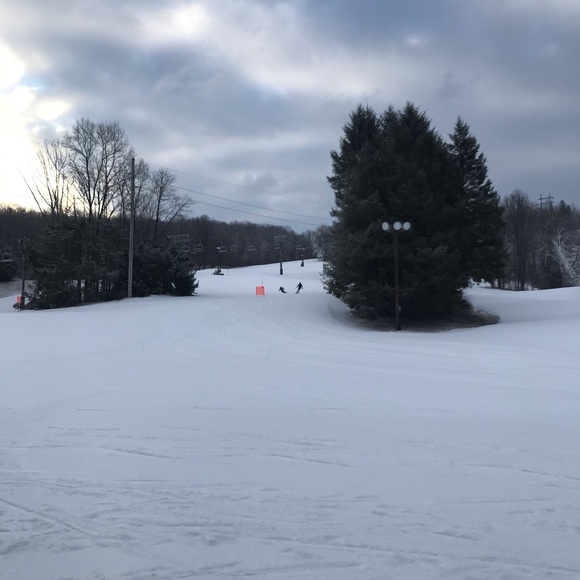 Meet your Posher, Kelly - Picture 2 of 2